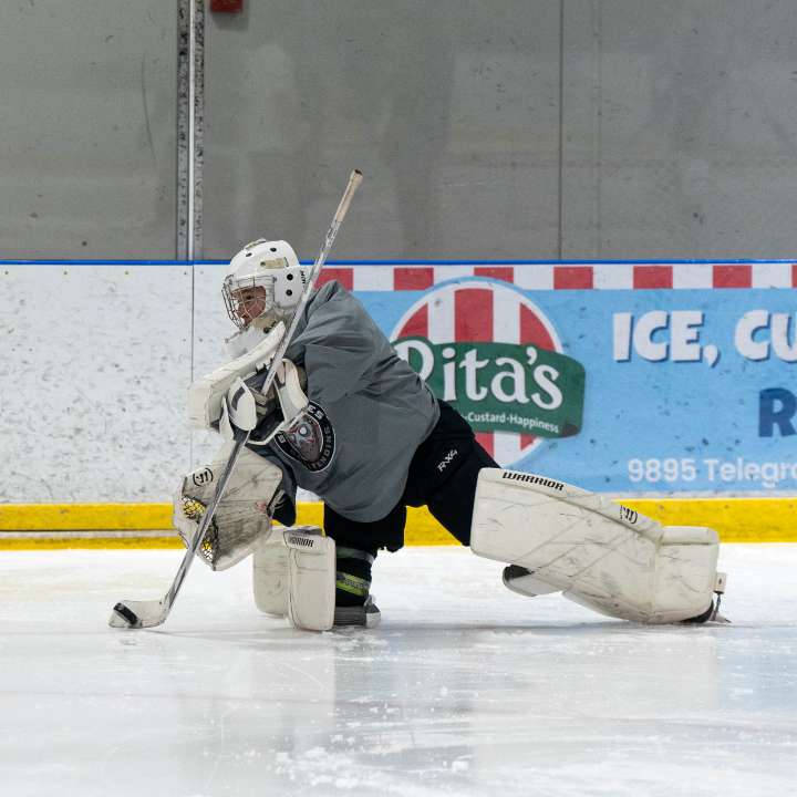Professional Goaltending Training